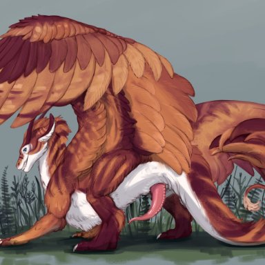 erganyfox, zhylar, dragon, feathered dragon, animal genitalia, clawed feet, clawed toes, claws, cloaca, curled penis, erection, exposed, feathered ears, feathered wings, feathers