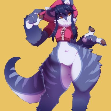 seel kaiser, tsukiyo, unknown species, anthro, big hands, bottomless, clothed, clothing, crop top, female, hair, hoodie, long hair, navel, pawpads