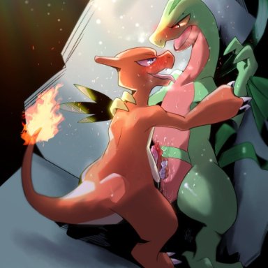 tenebscuro, nintendo, pokémon, charmeleon, grovyle, pokémon (species), anthro, blush, duo, eye contact, frottage, genitals, looking at another, male, male/male