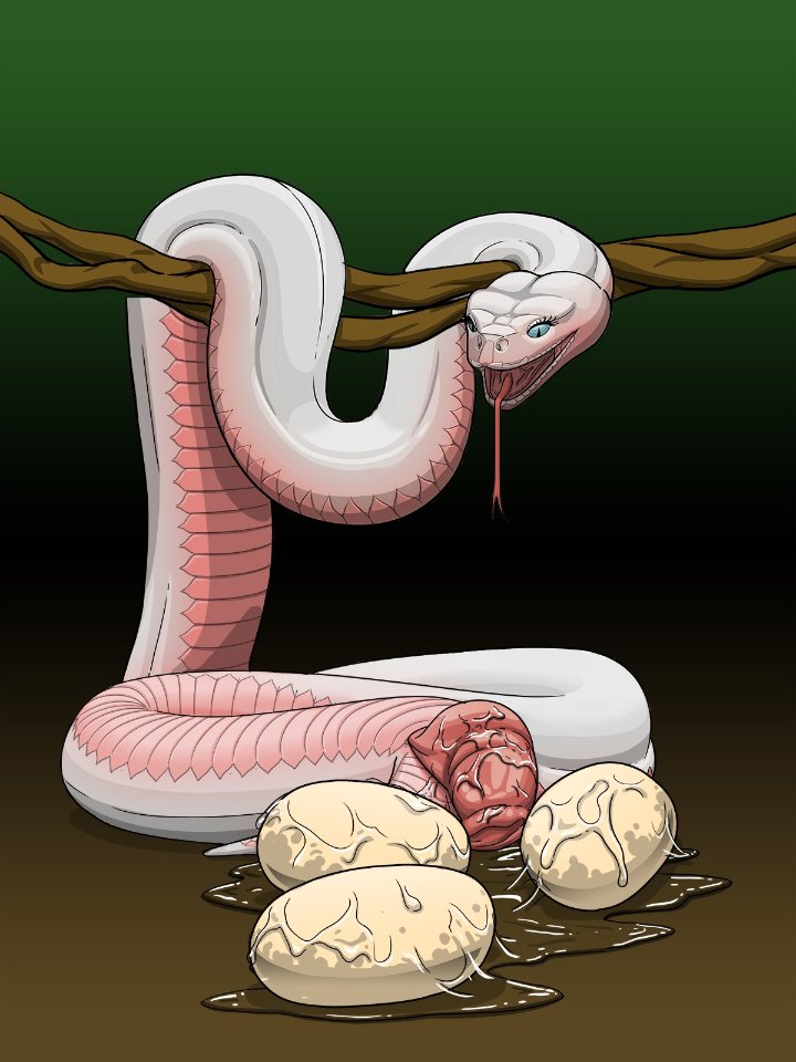 Furry Snake Vagina