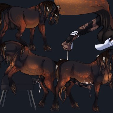 kukan97, mauro skyles, noz orlok, draft horse, equid, equine, horse, mammal, sergal, accessory, anatomically correct, anatomically correct genitalia, anatomically correct penis, animal genitalia, animal penis