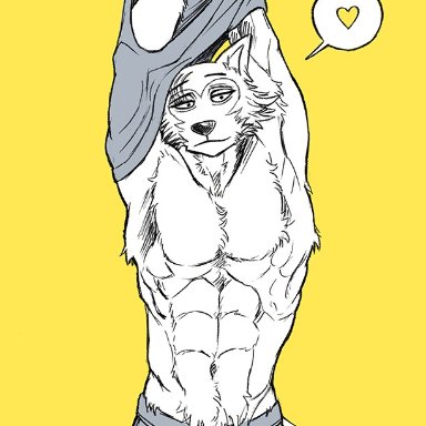 elson wong, legoshi (beastars), beastars, canid, canine, canis, mammal, wolf, <3, abs, anthro, boxer briefs, bulge, claws, clothing