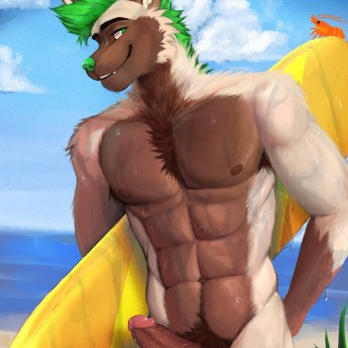 shrimpiing, canid, canine, canis, domestic dog, mammal, abs, anthro, balls, beach, biceps, brown balls, brown body, brown fur, brown penis