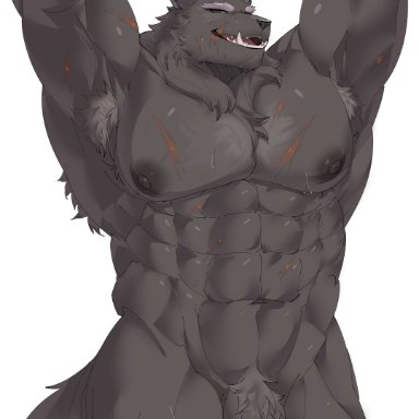 bl carsen, blaidd (elden ring), elden ring, fromsoftware, canid, canine, canis, mammal, wolf, abs, anthro, armpit hair, balls, barazoku, biceps