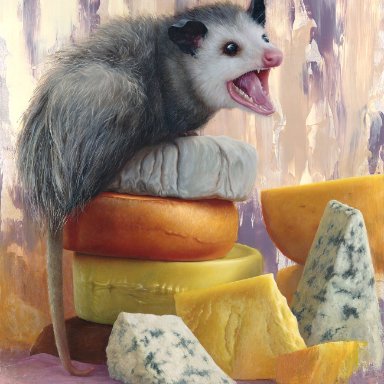 kahla, didelphid, mammal, marsupial, ambiguous gender, cheese, cheese wedge, cheese wheel, dairy products, feral, food, fur, on food, open mouth, photorealism