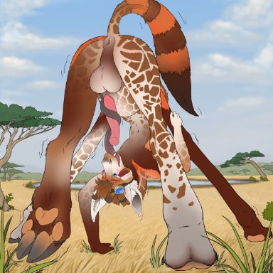 ferret-badger (artist), ailurid, ailurid taur, giraffe, giraffe taur, giraffid, giraffid taur, hybrid, mammal, mammal taur, red panda, red panda taur, taur, animal genitalia, animal penis