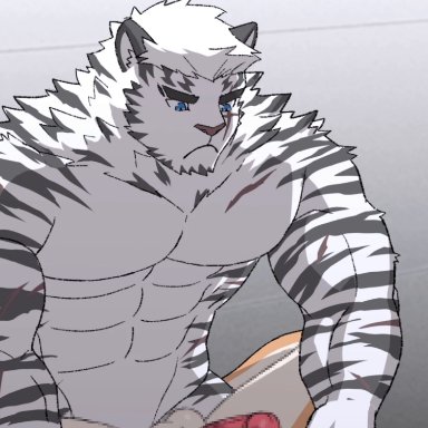 norubahu, hung (arknights), mountain (arknights), arknights, hypergryph, studio montagne, ambiguous species, felid, mammal, pantherine, tiger, 5 fingers, abdominal bulge, abs, anthro