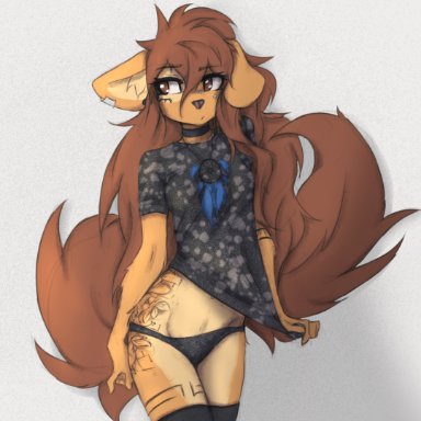 tinygaypirate, apogee (tinygaypirate), canid, canine, canis, domestic dog, mammal, spitz, anthro, arm tuft, big tail, black nose, breasts, brown body, brown eyes