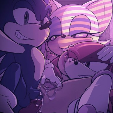 hecticarts, knuckles the echidna, rouge the bat, sonic the hedgehog, sega, sonic the hedgehog (series), chiropteran, echidna, eulipotyphlan, hedgehog, mammal, monotreme, anal, anal penetration, anthro