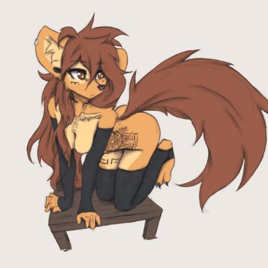 tinygaypirate, apogee (tinygaypirate), canid, canine, canis, domestic dog, mammal, spitz, 5 fingers, all fours, anthro, arm tuft, arm warmers, armwear, big tail