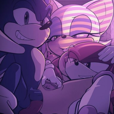 hecticarts, knuckles the echidna, rouge the bat, sonic the hedgehog, sega, sonic the hedgehog (series), chiropteran, echidna, eulipotyphlan, hedgehog, mammal, monotreme, anal, anal penetration, anthro