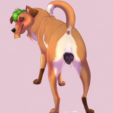 milkypaws, canid, canine, canis, mammal, anatomically correct, anatomically correct anus, anatomically correct genitalia, anatomically correct pussy, animal genitalia, animal pussy, anus, bedroom eyes, black nose, black pawpads