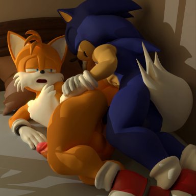 setrixart, miles prower, sonic the hedgehog, blender (software), blender cycles, sega, sonic the hedgehog (series), canid, canine, eulipotyphlan, fox, hedgehog, mammal, 2 tails, anal