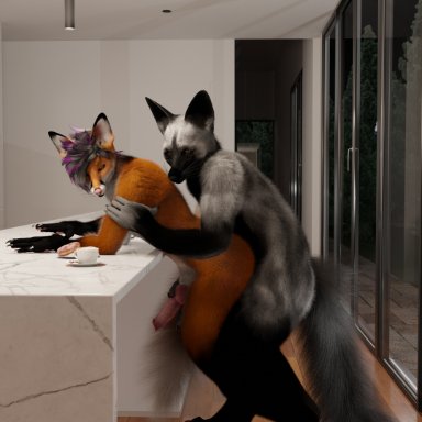 sethmadlad, reineke, blender (software), blender cycles, canid, canine, fox, mammal, anal, anal penetration, anthro, duo, kitchen, knot, knot grab