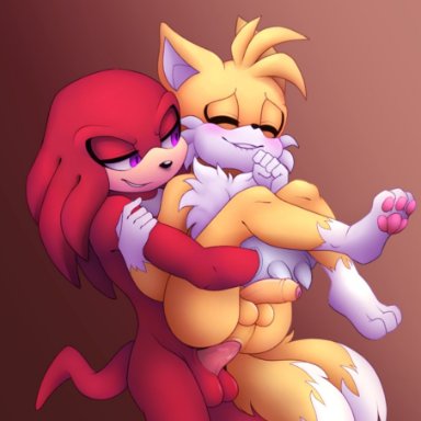 jyllhedgehog367, knuckles the echidna, miles prower, sega, sonic the hedgehog (series), canid, canine, echidna, fox, mammal, monotreme, anal, anal penetration, balls, bite