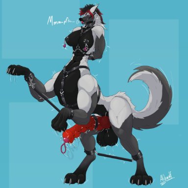 alibiwolf, andrew (andrewwolf97), canid, canid taur, canine, canine taur, canis, mammal, mammal taur, taur, wolf, wolf taur, abs, accessory, anal beads