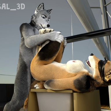 isal, canid, canine, canis, fox, mammal, wolf, 5 fingers, ambiguous penetration, anthro, anthro on anthro, anthro penetrated, anthro penetrating, anthro penetrating anthro, bdsm