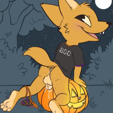 tbid, gregg lee, halloween, night in the woods, canid, canine, fox, mammal, anthro, anus, balls, bodily fluids, bottomless, butt, clothed