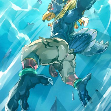 captain nikko, revali, breath of the wild, nintendo, the legend of zelda, avian, rito, anthro, anus, balls, blue body, blue feathers, braided hair, casual nudity, dialogue