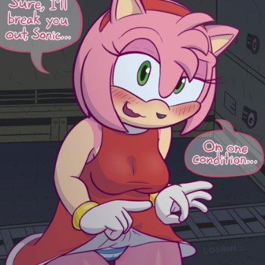 loshon, amy rose, sonic the hedgehog, sega, sonic the hedgehog (series), eulipotyphlan, hedgehog, mammal, accessory, anthro, blush, bottomwear, breasts, clothed, clothing